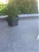 Bury Natural Stone - Terrace & Driveway